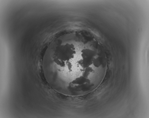 X0000111641397200907241101