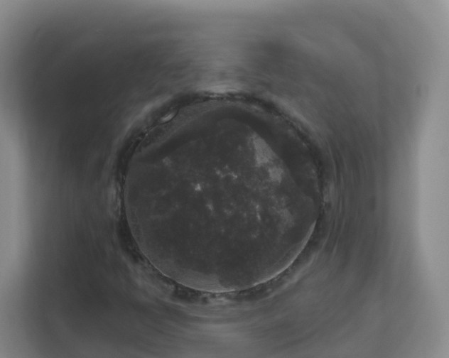 X0000111641398200907241101