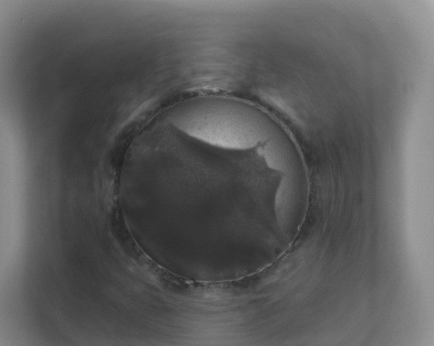 X0000111641399200907241101