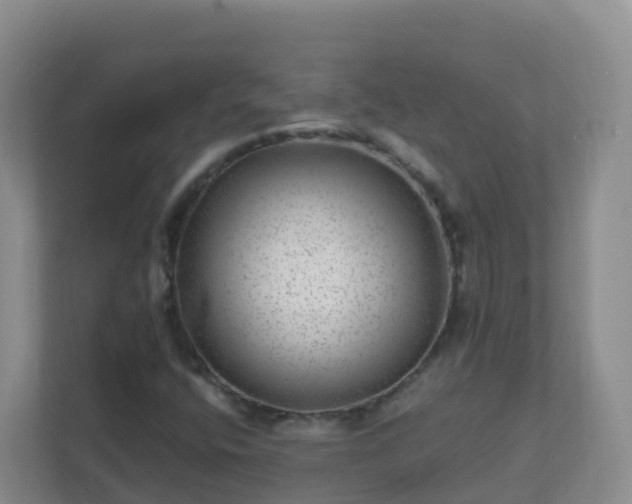 X0000111641400200907241101