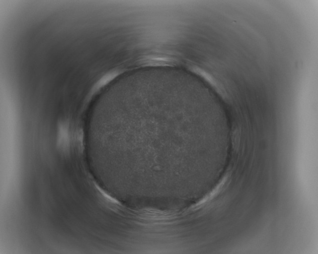 X0000111641402200907241101