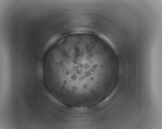 X0000111641403200907241101