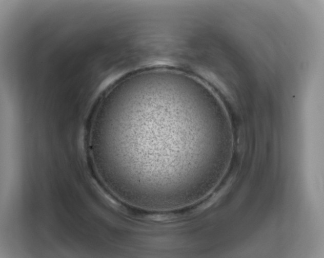 X0000111641404200907241101