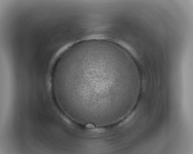 X0000111641406200907241101