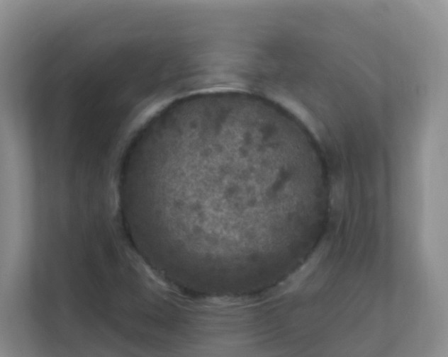 X0000111641407200907241101