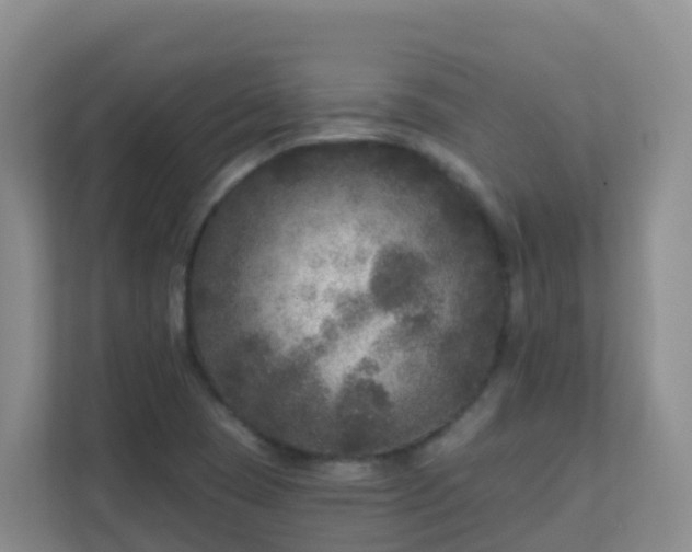 X0000111641409200907241101