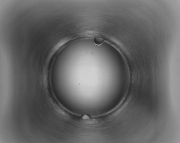 X0000111641410200907241101