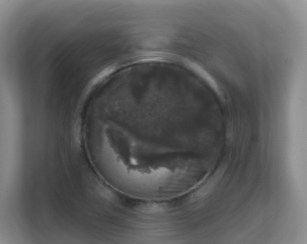 X0000111641411200907241101