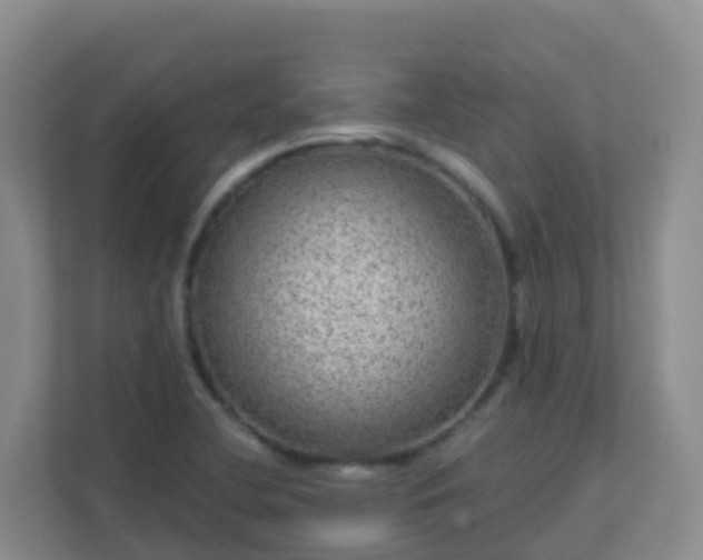 X0000111641412200907241101