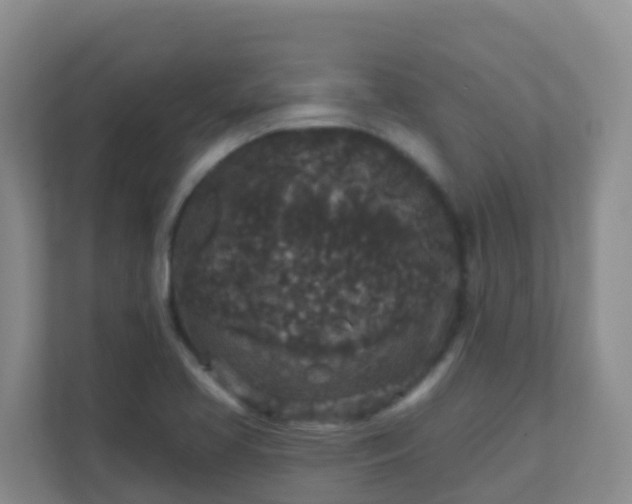 X0000111641413200907241101