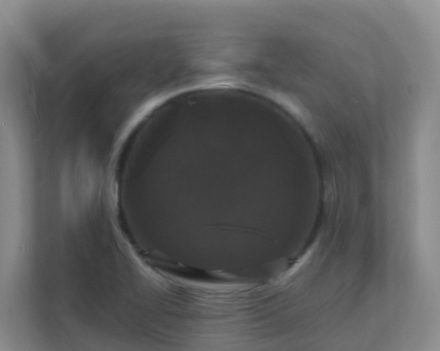 X0000111641414200907241101