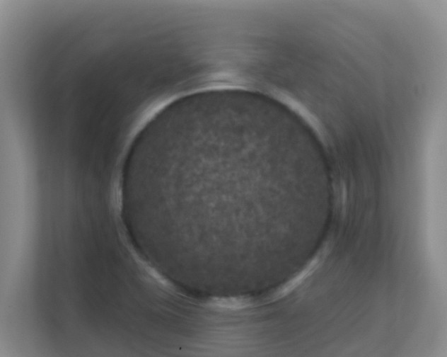 X0000111641415200907241101