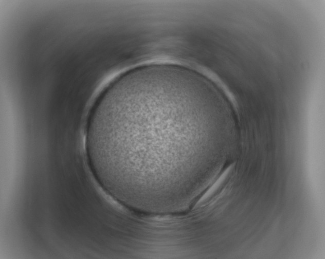 X0000111641416200907241101