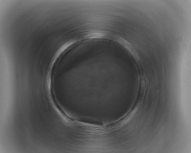 X0000111641418200907241101