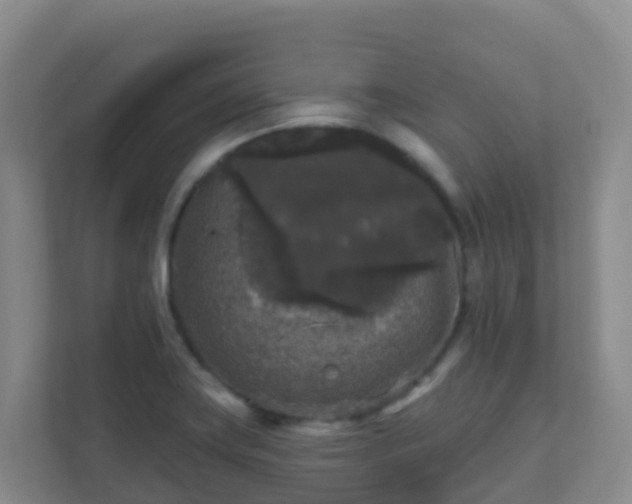 X0000111641419200907241101