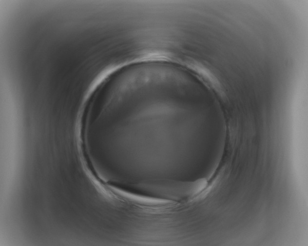 X0000111641422200907241101