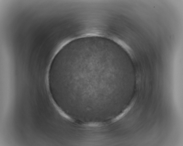 X0000111641423200907241101