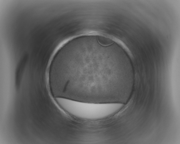 X0000111641424200907241101