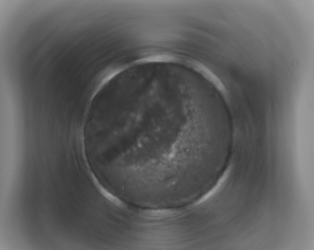 X0000111641425200907241101