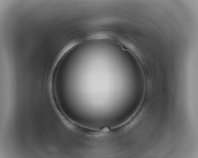 X0000111641426200907241101