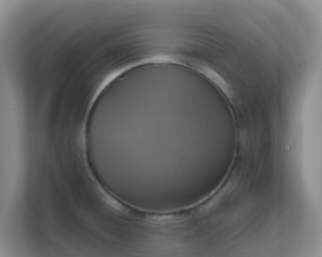 X0000111641428200907241101