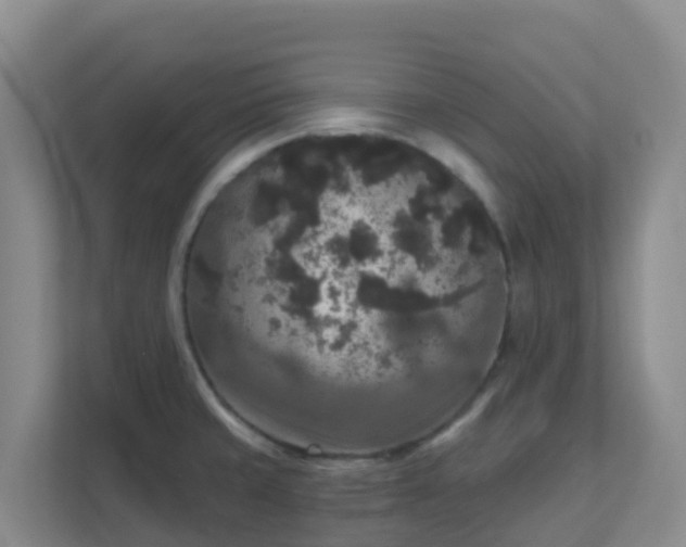 X0000111641429200907241101