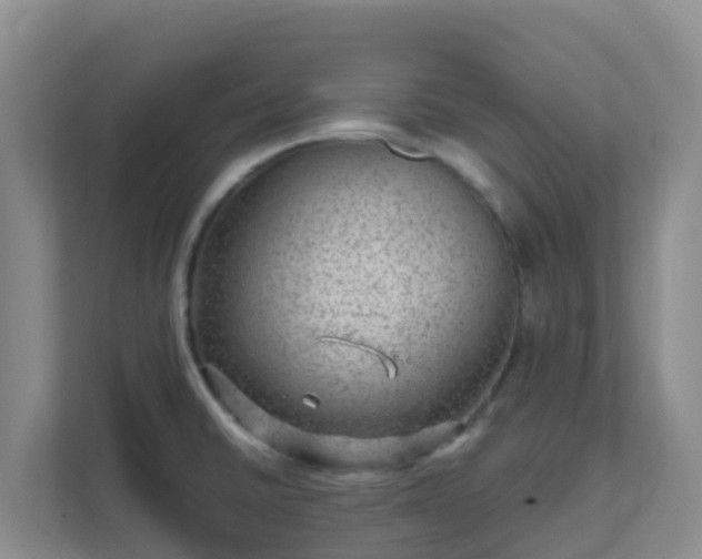 X0000111641430200907241101