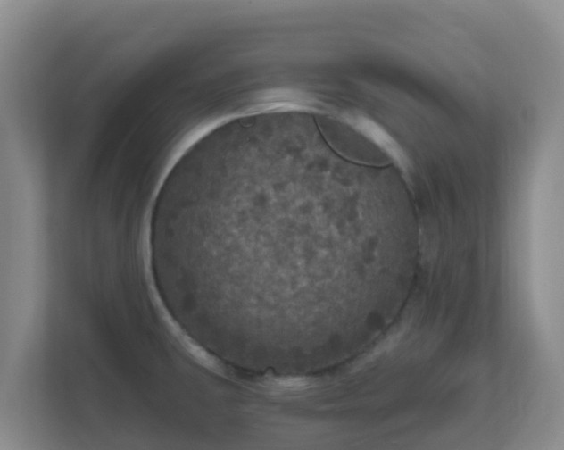 X0000111641431200907241101