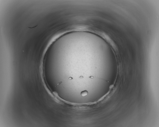 X0000111641432200907241101