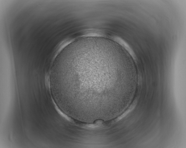 X0000111641433200907241101