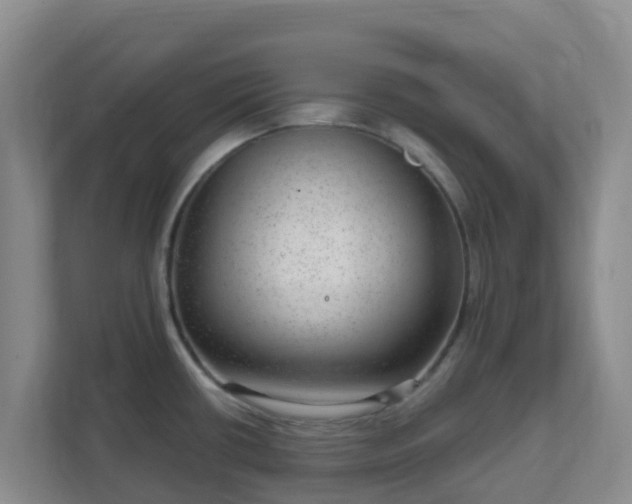 X0000111641434200907241101