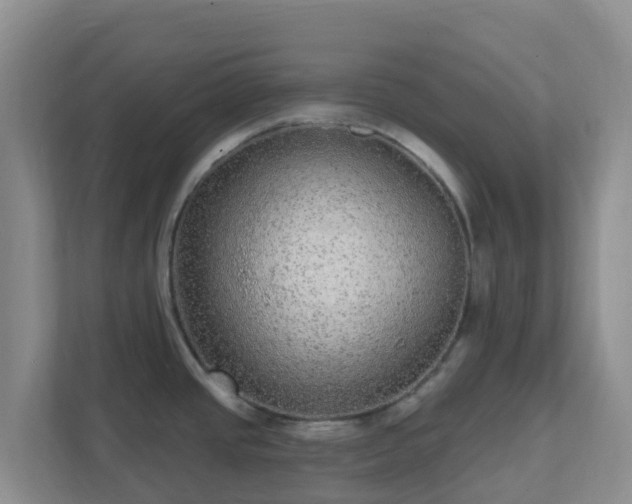 X0000111641437200907241102