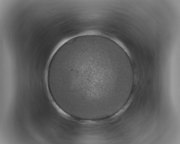 X0000111641438200907241102