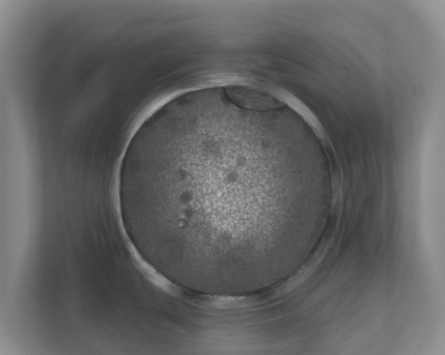 X0000111641439200907241102