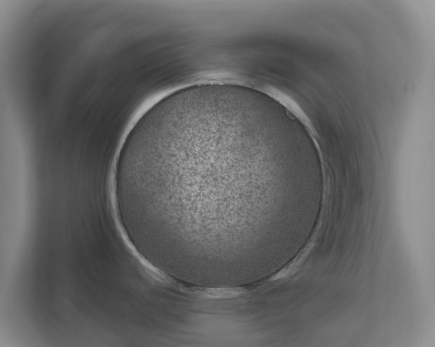 X0000111641440200907241102