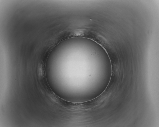 X0000111641442200907241101