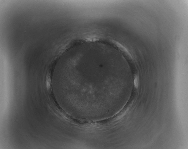 X0000111641444200907241101