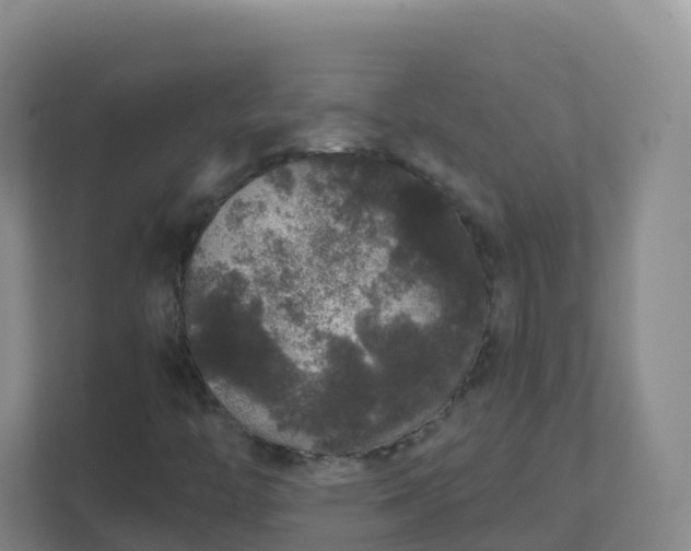 X0000111641446200907241101