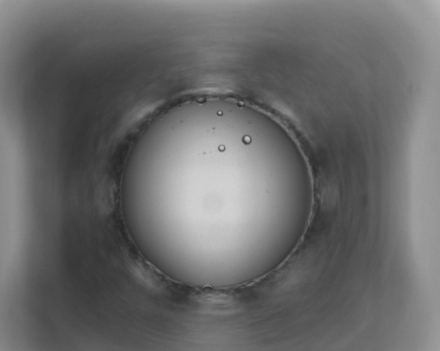 X0000111641448200907241101