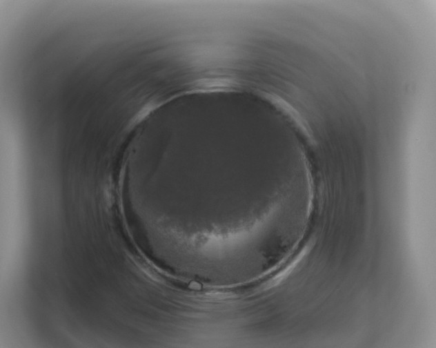 X0000111641449200907241101