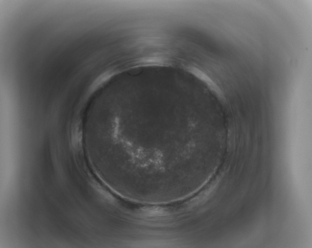 X0000111641450200907241101