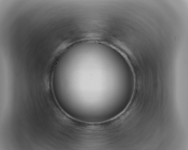 X0000111641451200907241101