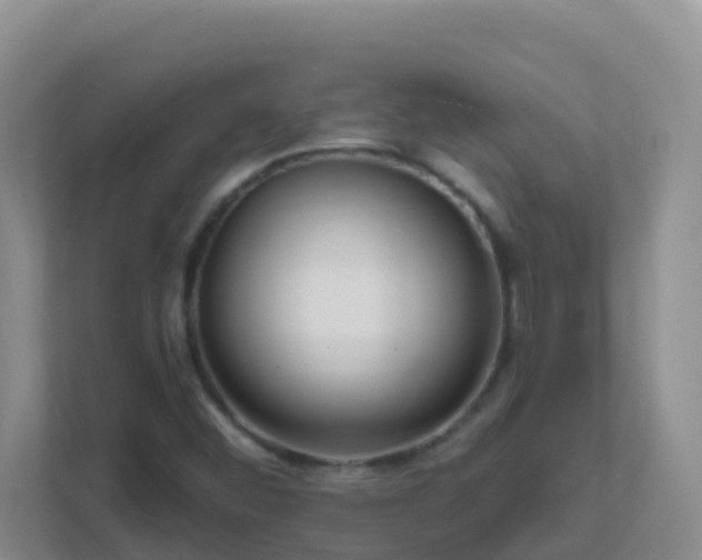 X0000111641452200907241101