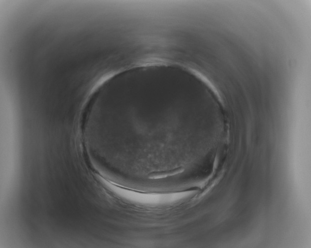 X0000111641453200907241101