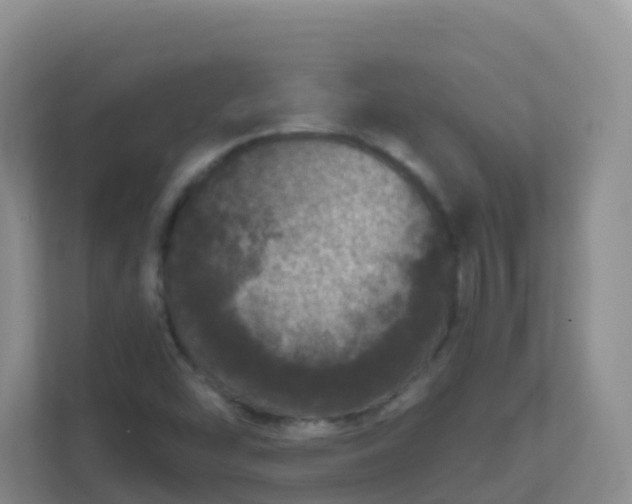 X0000111641454200907241101