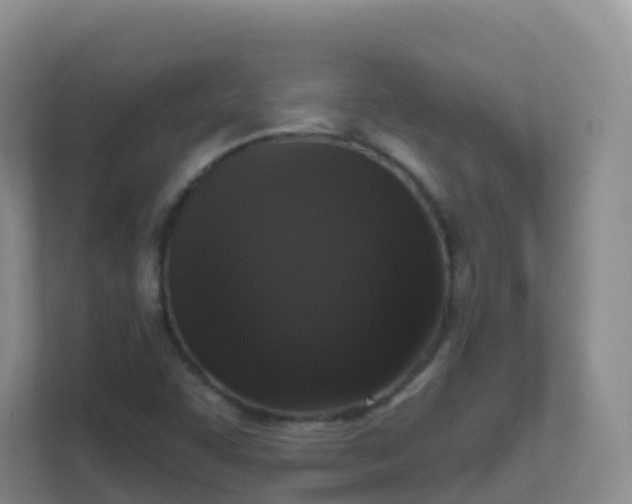 X0000111641455200907241101