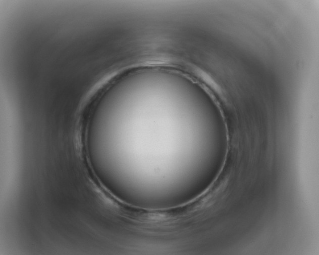 X0000111641456200907241101