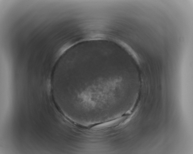 X0000111641457200907241101