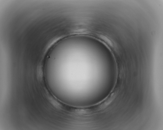 X0000111641458200907241101