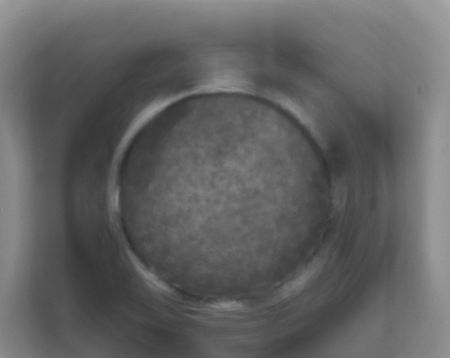 X0000111641462200907241101